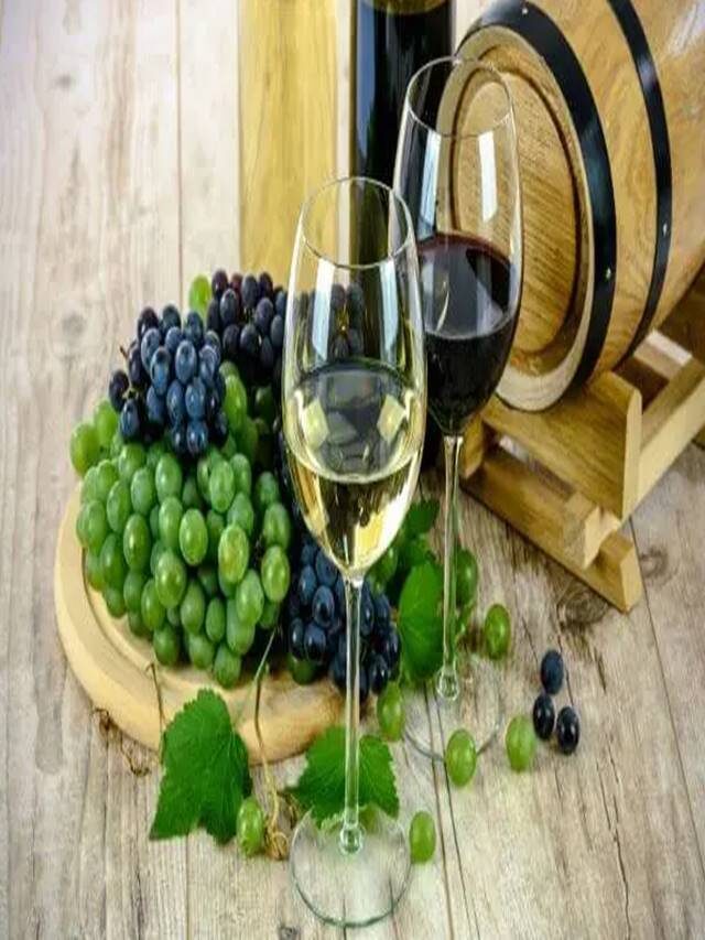 Conheça os Melhores vinhos e espumantes brasileiros em 2022